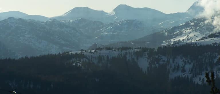 Mountains covered with snow and evergreen trees.