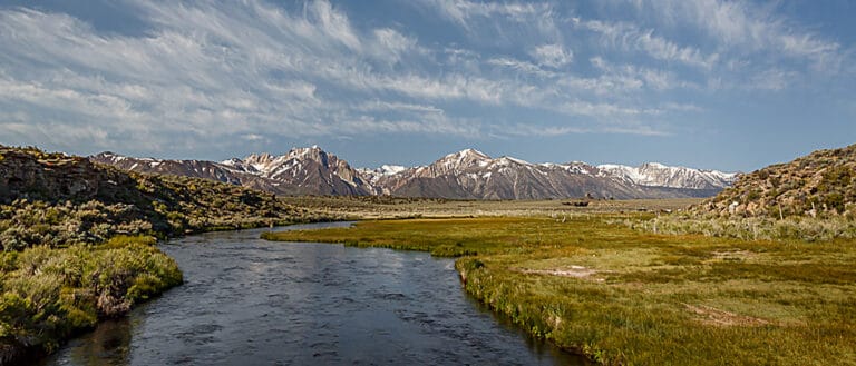 A wide blue stream flows through green grassy fields with sagebrush on either side, and into the snowy gray mountains ahead.