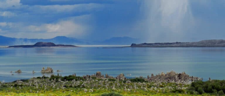 Storm clouds over Mono Lake, tufa and bright green vegetation in the foreground, Negit and Paoha Islands are in the distance.