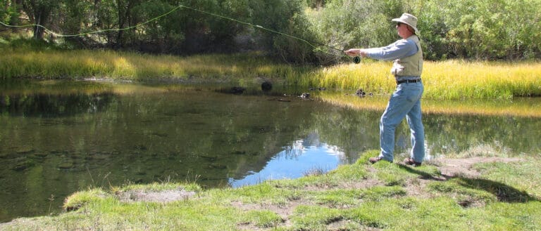 A person casts from a fly rod into a willow lined creek channel.