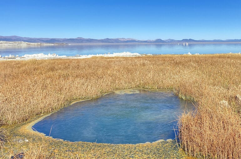 A spring that feral horses are destroying on the shore of Mono Lake.