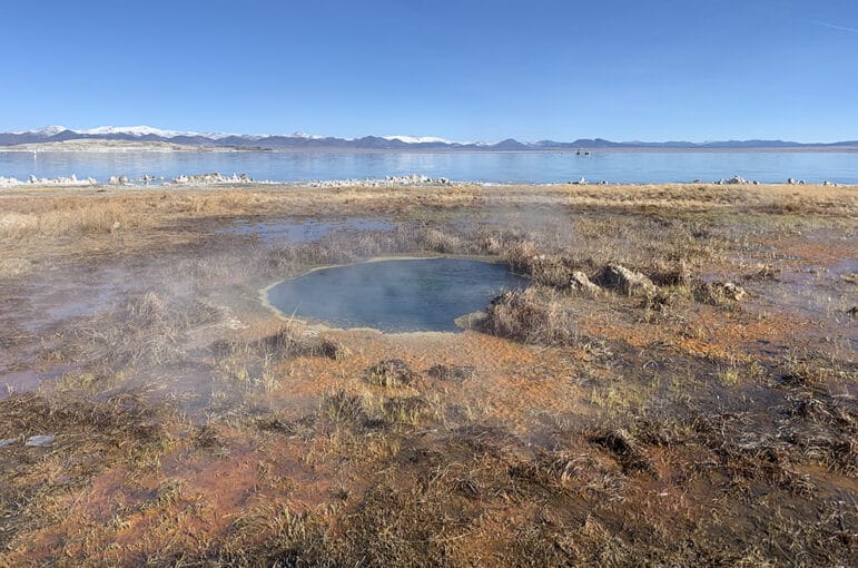 A spring that feral horses are destroying on the shore of Mono Lake.