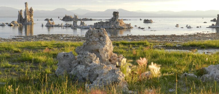 Tufa along the shore of Mono Lake with bright green marsh vegetation in the foreground.