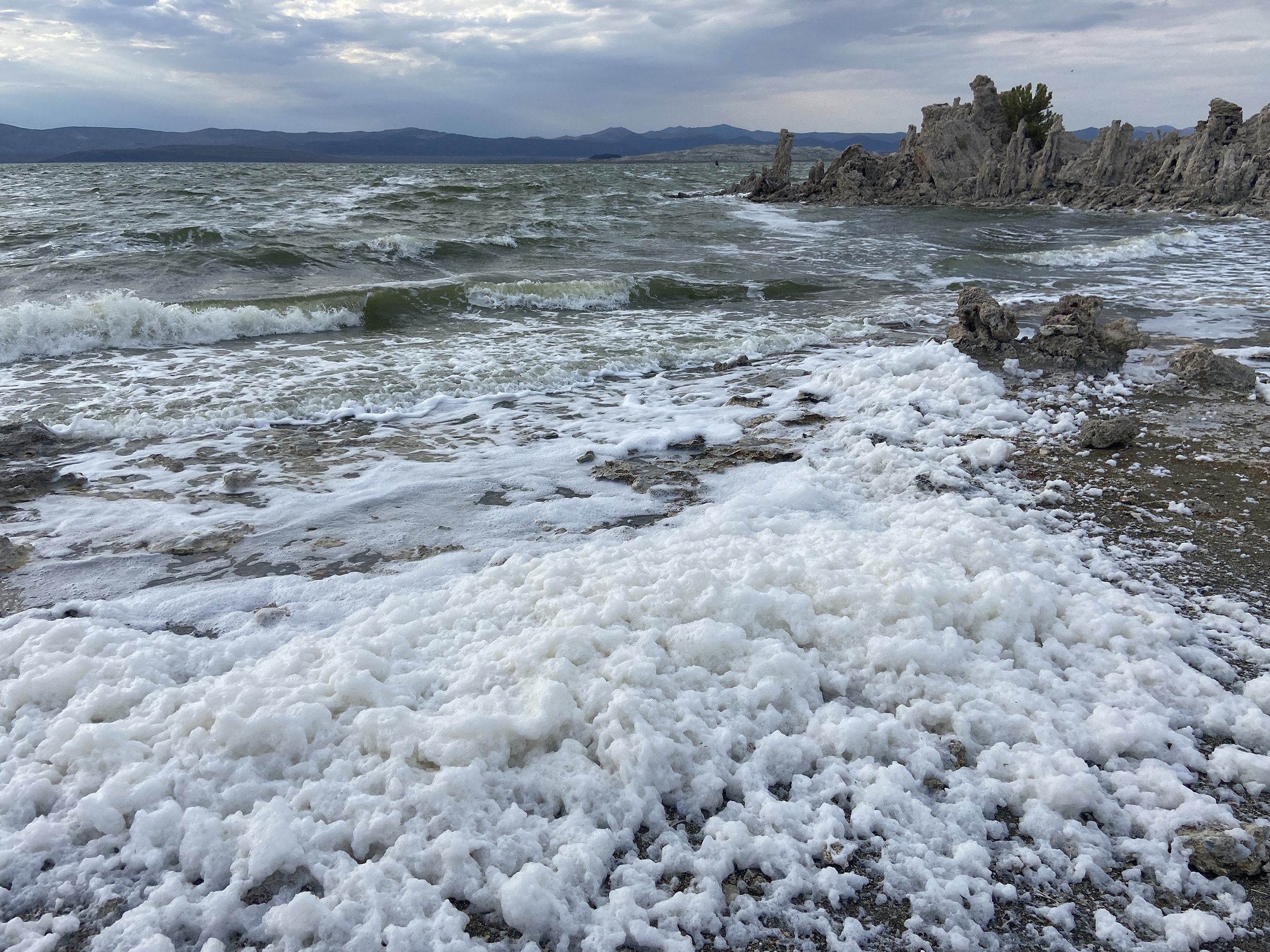 Waves crashing against tufa and a thick layer of foam on the shore of Mono Lake with mountains in the background, the sky is overcast.