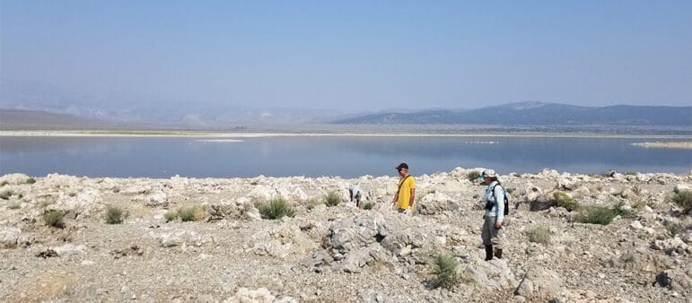 Mono Lake Committe staff walking through a sparse landscaope of rocks and occasional shrubs on a small island in Mono Lake with mountains in the smokey distance.