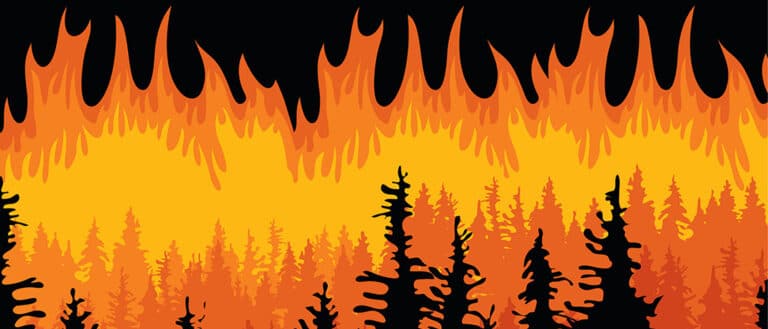 Artwork of a forest burning.