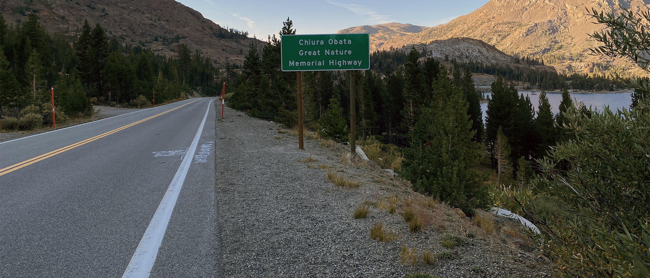 Road sign along a paved road going through the mountains with conifer trees on either side.