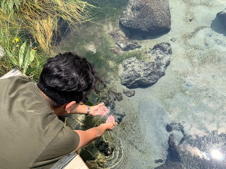 A person scoops up water.