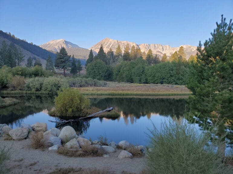 Granite peaks in the distance with and a creek and willows and pine trees in the foreground.