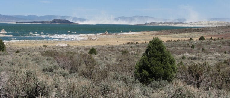 Windblown alkali dust from Mono Lake's north shore with Mono Lake and tufa in the middle distance and scrub and pine in the foreground.