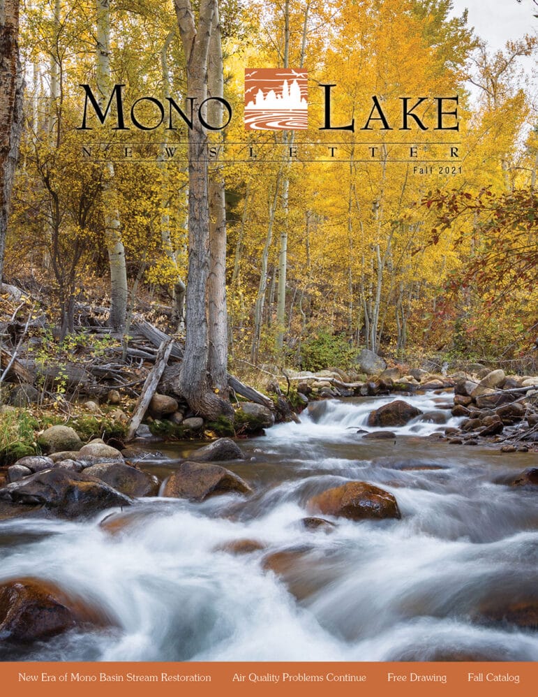 Cover of the Fall 2021 Mono Lake Committee newsletter.