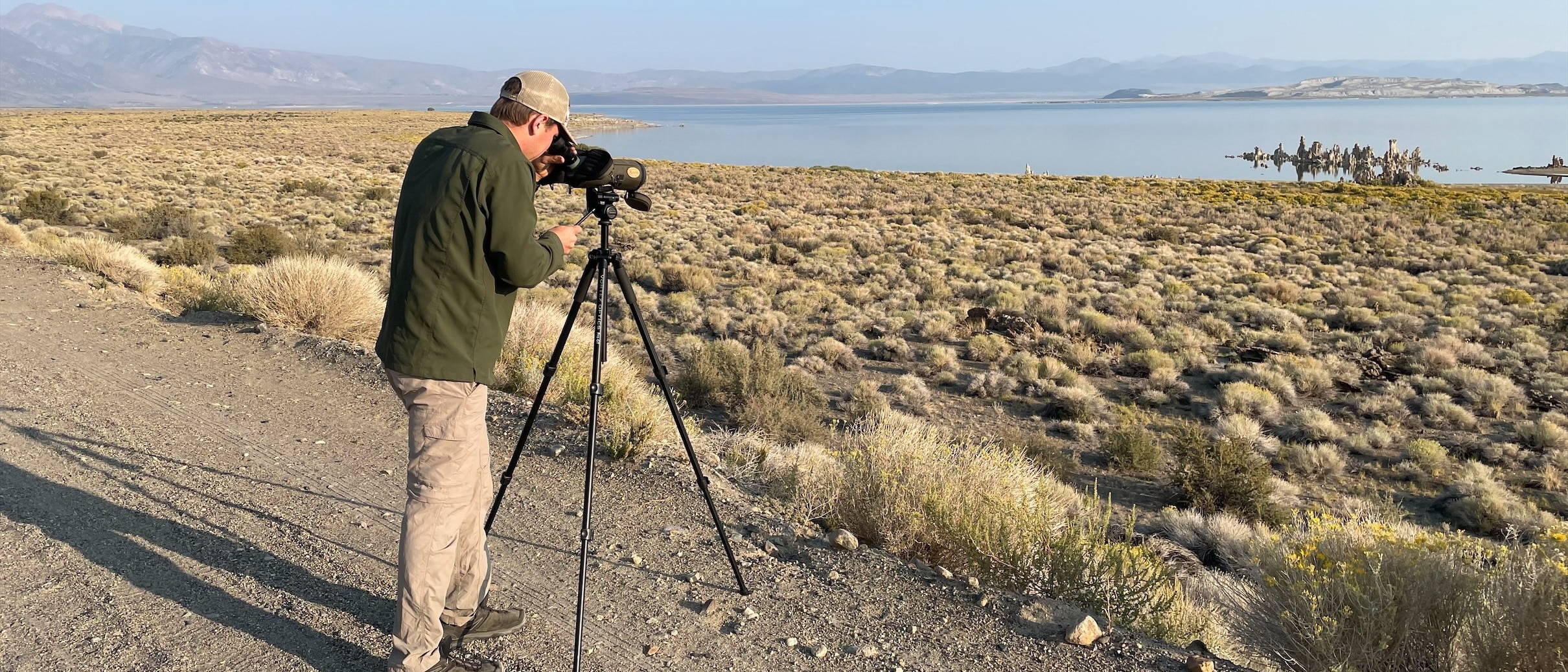 Ryan Garrett looking down toward Mono Lake through a spotting scope scanning for phalaropes.