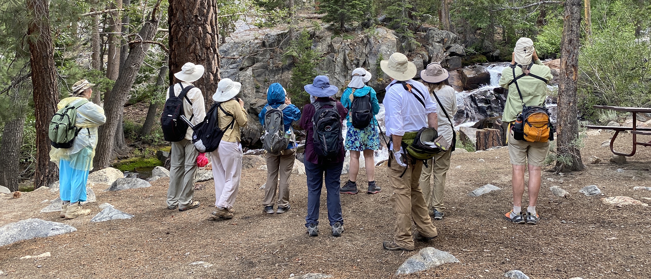 A group of people looking toward a creek with rock formations on the opposite bank.