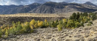 Fall colors along Mill Creek looking toward the east side of the Sierra Nevada.