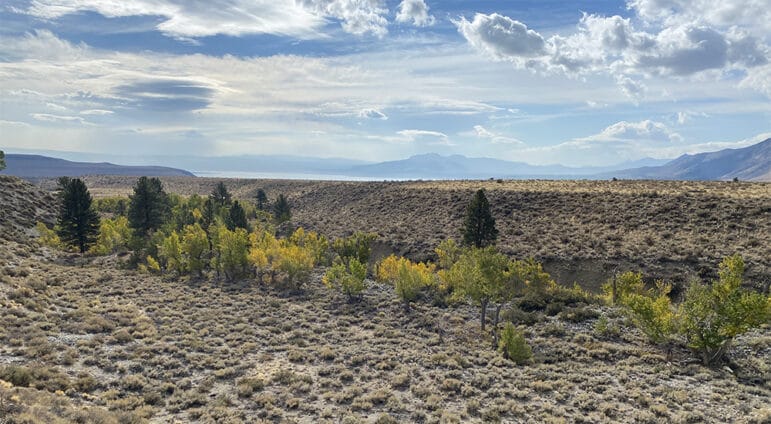 Trees starting to turn yellow in the fall line a creek channel through the sagebrush with brightly light clouds above.