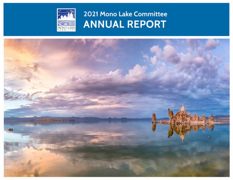 Cover of the Mono Lake Committee 2021 Annual Report.