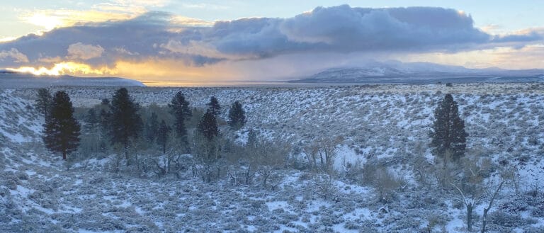 Sunrise glowing on the horizon beyond a snow covered landscape with Mill Creek in the foreground and Mono Lake in the distance.