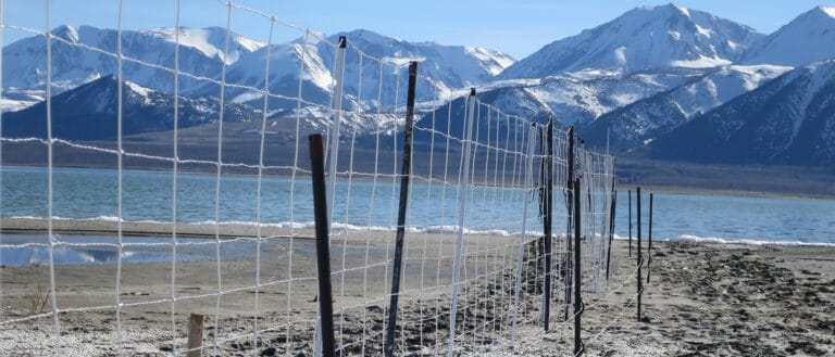 Thin electrified fence stretched along the shore of Mono Lake.