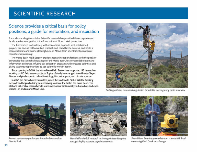 Pages from the 2021 Mono Lake Committee Annual Report.