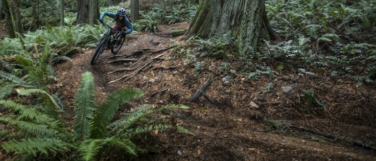 A mountain biker leans into a turn on a trail surrounded by green ferns.