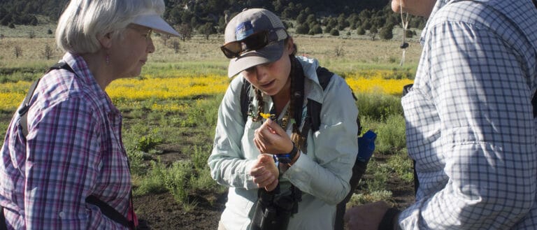 A person stands holding a small yellow flower and is inspecting it closely, two other people flank them looking on, behind the people is a field of of green shrubs with swaths of yellow flowers.