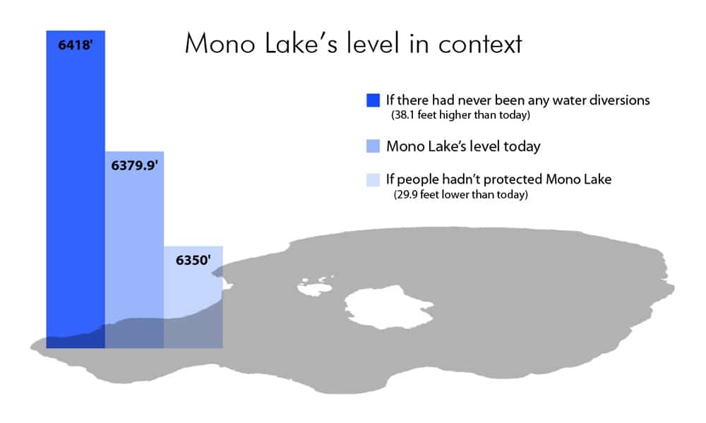 State of the Lake