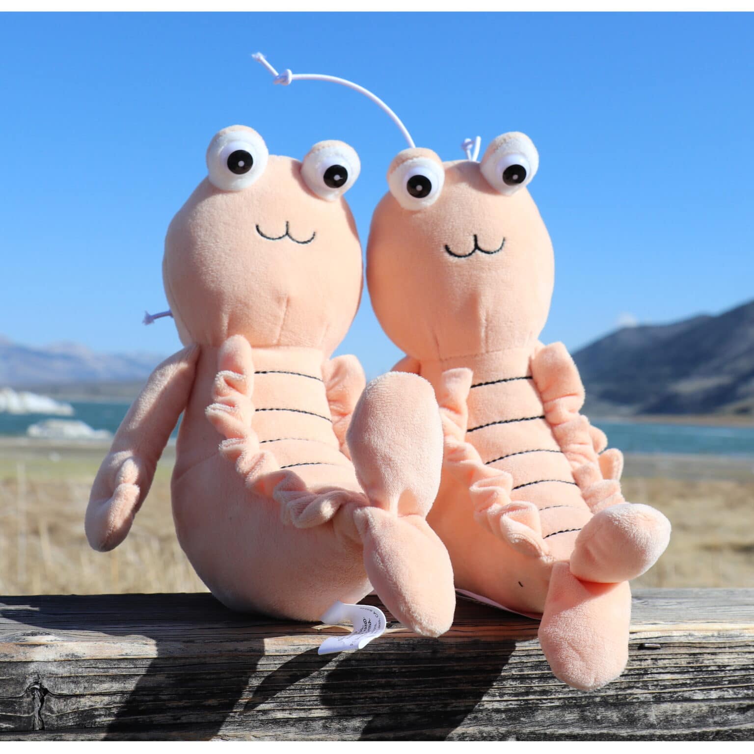 Brine shrimp plush