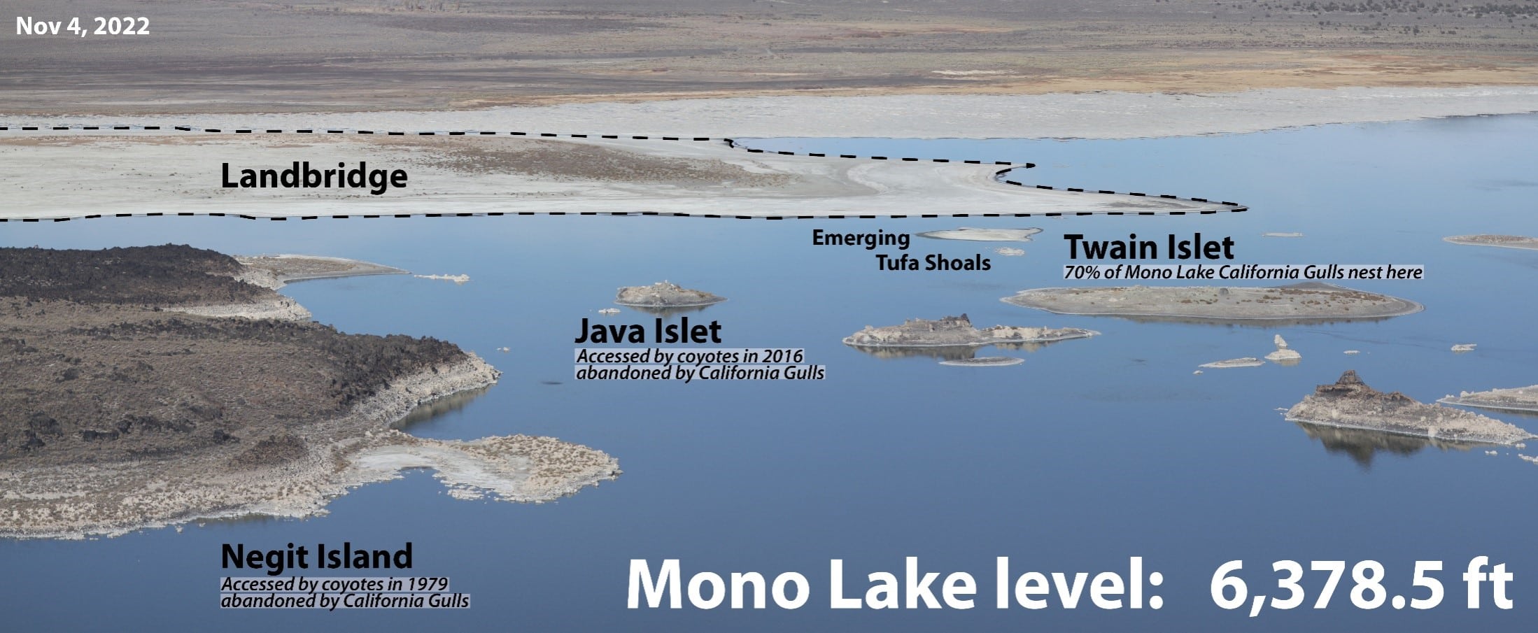 Lake Idlewild  Lake Details - Lake.WaterAtlas.org