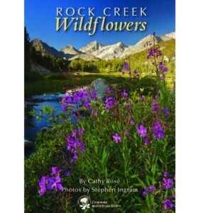 Rock Creek Wildflowers