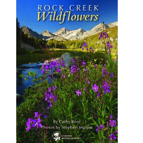 Rock Creek Wildflowers