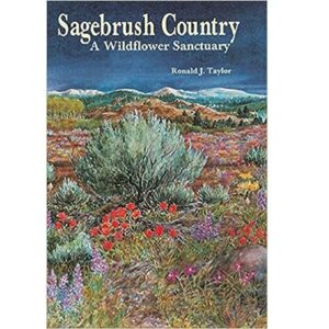 Sagebrush Country - A Wildflower Sanctuary