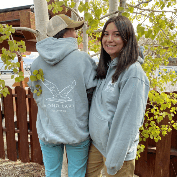 California Gull Hoodie