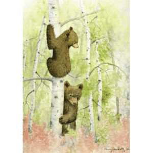 Bear Cubs Overholtz Card