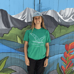 California gull t-shirt