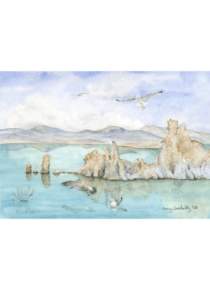 Mono Lake '03 Overholtz Card