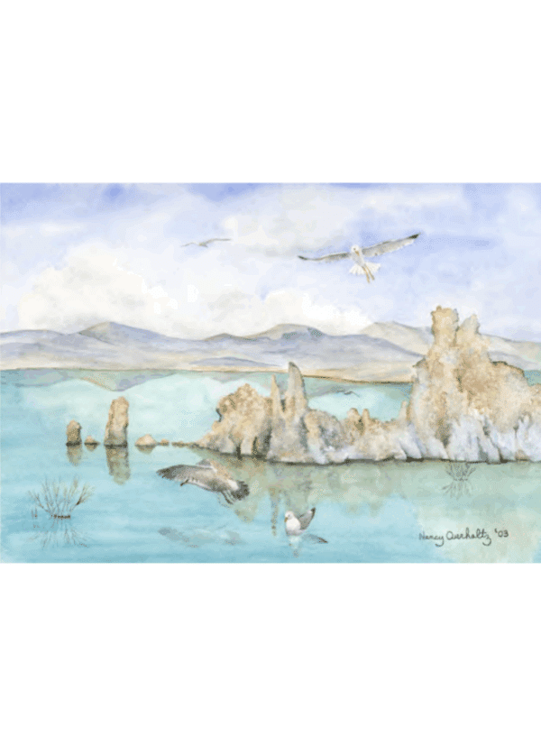 Mono Lake '03 Overholtz Card