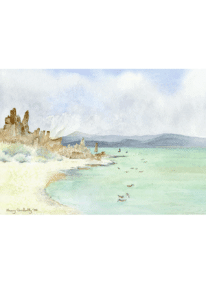 Mono Lake '04 Overholtz Card