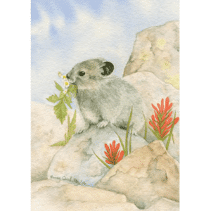Pika Overholtz Card