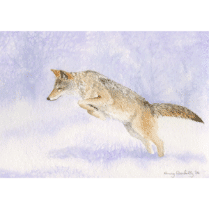 Pouncing Coyote Overholtz Card