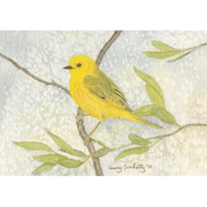 Yellow Warbler Overholtz Card