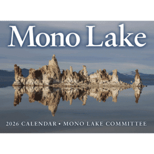 2026 Mono Lake Calendar