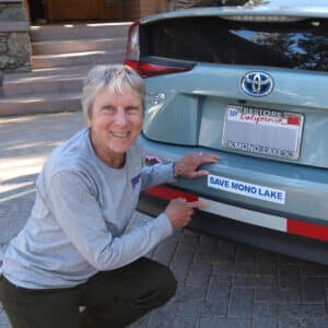 Sally sticker license plate Save Mono Lake bumper sticker