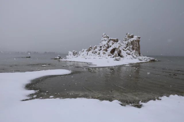 It's snowing! After a mostly dry January, today we are happy to see several inches of snow at Mono Lake all the way down to the shore, and it's still coming down.