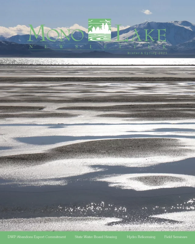 The latest issue of the Mono Lake Newsletter is now online! DWP recently went back on Los Angeles' decision to not take the maximum amount of water from the Mono Basin this year. In this issue we explain how that action has accelerated the State Water Board's plans to hold its long-awaited hearing about how to get Mono Lake to rise. Read more at monolake.org/newsletter. 📷 by Geoff McQuilkin