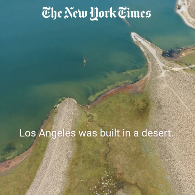 Today's New York Times article, "For the Future of Water Conservation, Look to ... Los Angeles?" by Michael Kimmelman, is excellent. The Mono Lake Committee’s takeaway: The people of LA are doing their part and seeing the benefits of what Kimmelman calls "generational evolution." It has been 31 years since DWP promised to raise Mono Lake—it's time for DWP to evolve, too. Check it out at the link in bio, we highly recommend it. 📷 Adali Schell, New York Times