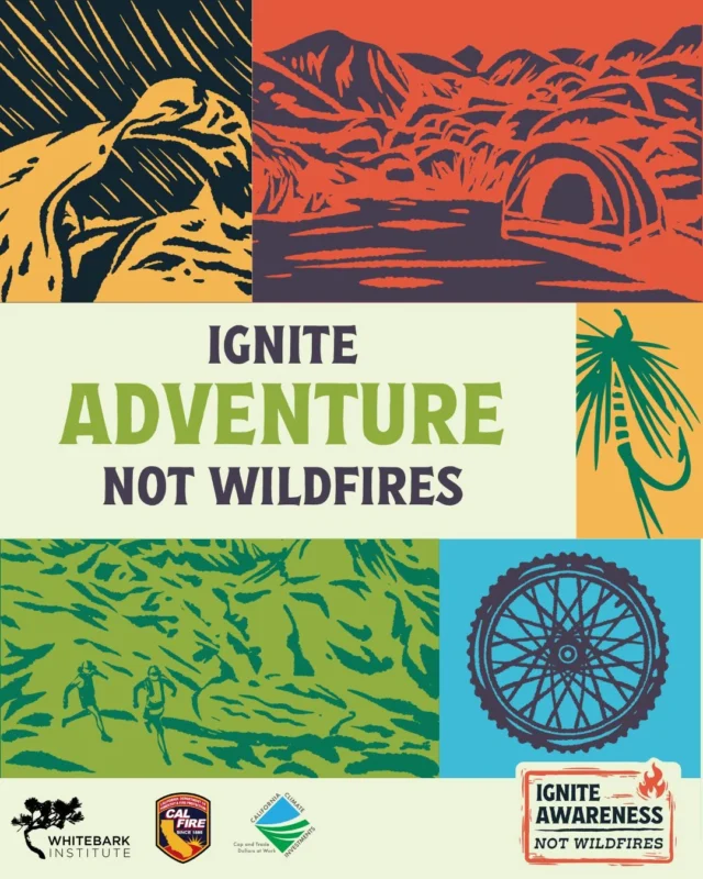 This Fourth of July, keep the holiday fun and ignite adventure, not wildfires! Campfires aren't the only thing that can start wildfires. When celebrating this holiday weekend:

🎆 Opt out of personal fireworks, which can lead to stray sparks.
🚬🔥 Make sure stoves, matches, cigarette butts, and other points of ignition are fully extinguished. Do not discard anything on the ground.
🚗 A vehicle's hot tailpipe can ignite dry grass underneath it: Avoid parking or driving on vegetation and stay on trails. Even improper exhaust and under-inflated or damaged tires can spark fires!
 ⛓️ Watch out for dragging trailer chains, which can spark a fire along highways without the driver knowing.
 ✅ Be prepared, Carry a fire extinguisher, water, and a shovel in case of an accident.

Have fun this weekend - don't let a fire ruin your good time and threaten our ecosystem and communties' safety. 🎉

Want to learn more about wildfire prevention? Visit www.whitebarkinstitute.org/igniteawareness

Funding for this project provided by the California Department of Forestry & Fire Protection's Fire Prevention Program as part of the California Climate Investments Program. #IgniteAwareness #IgniteConnection #IgniteRespect #IgniteAdventure #FirePrevention #OffRoadSafety #WildfireAwareness