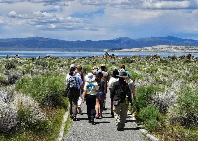 Every day at 10am and 6pm you can join a guide at South Tufa for a tour! Catch and observe brine shrimp, make your own tufa, and learn all about #MonoLake. Tours are free; reserve your spot at monolake.org/freetour. 📷 Teri Tracy