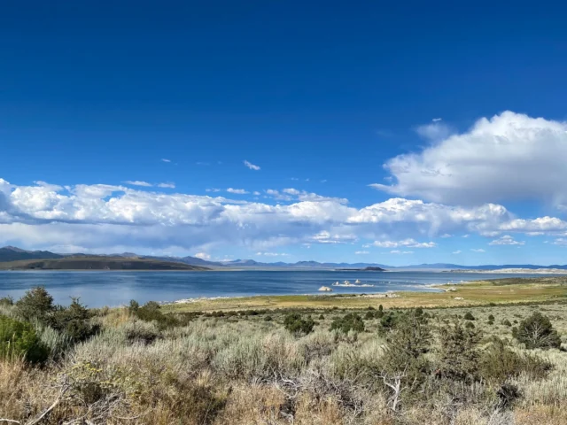Late July at #MonoLake with hot sunny days and thunderheads building up every afternoon... It's a wonderful time to be here! 📷 Elin Ljung